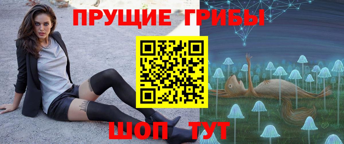 Псилоцибиновые грибы Cubensis  где купить наркоту  Можга  Вход с VPN 